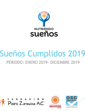 Infome 2019 - Fundación Pedro Zaragoza