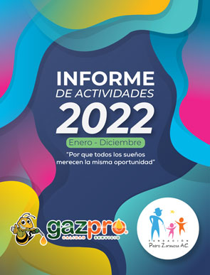 Infome 2022 - Fundación Pedro Zaragoza